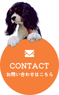 CONTACT お問い合わせはこちら